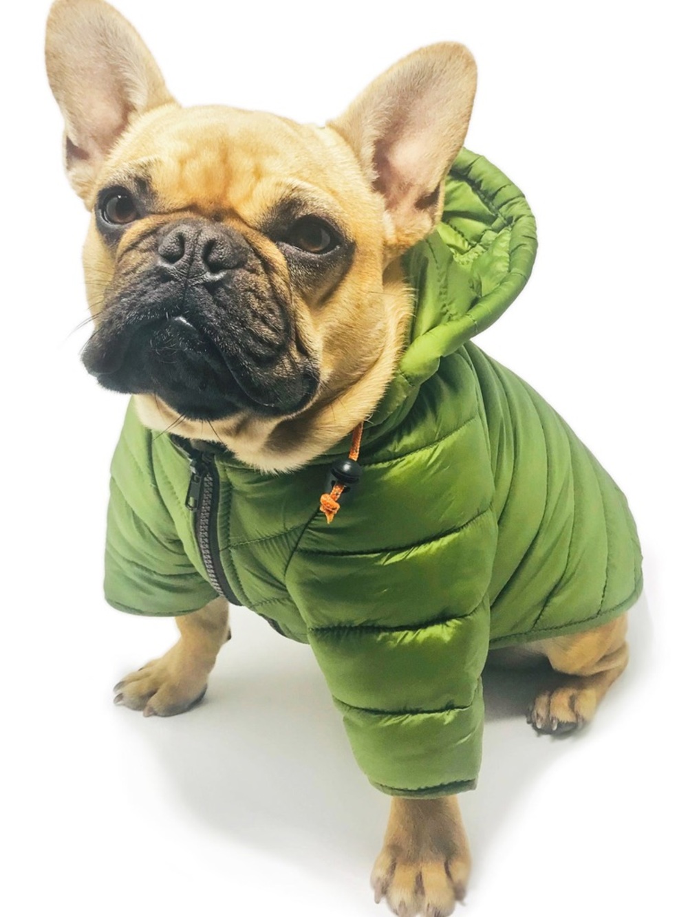 Wagwear PUFFER JACKET
